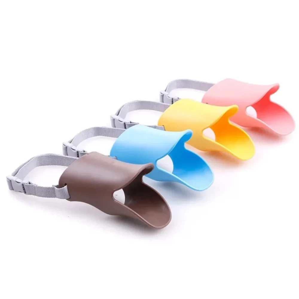 Shop Secondary Image Shop Secondary Image